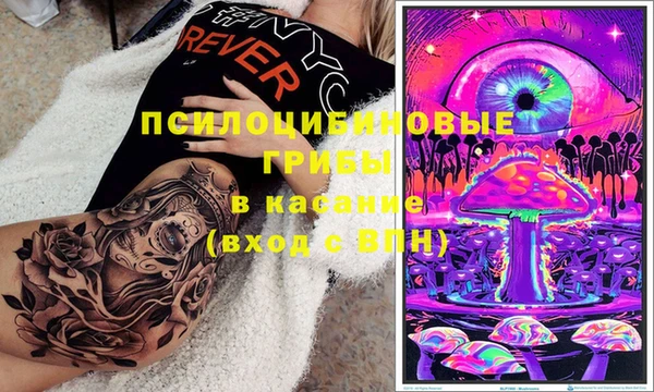 мяу мяу кристалл Дмитров
