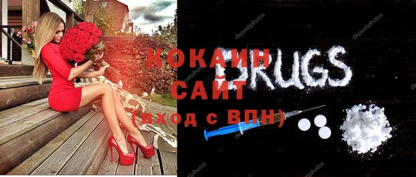 хмурый Дмитриев