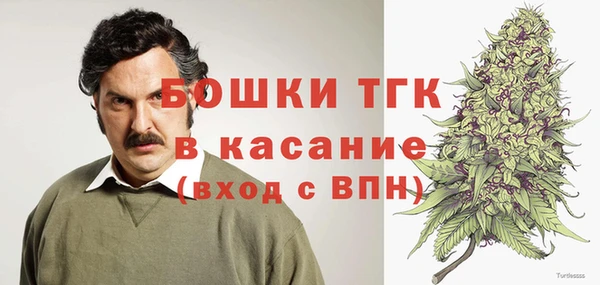 хмурый Дмитриев