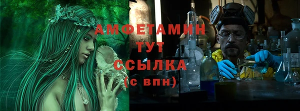 хмурый Дмитриев