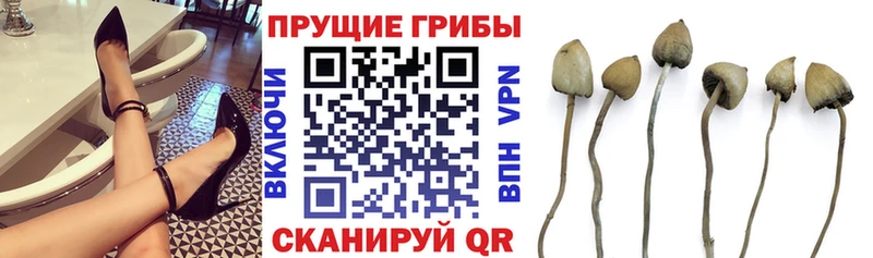 Галлюциногенные грибы ЛСД  дарнет шоп  Кандалакша 